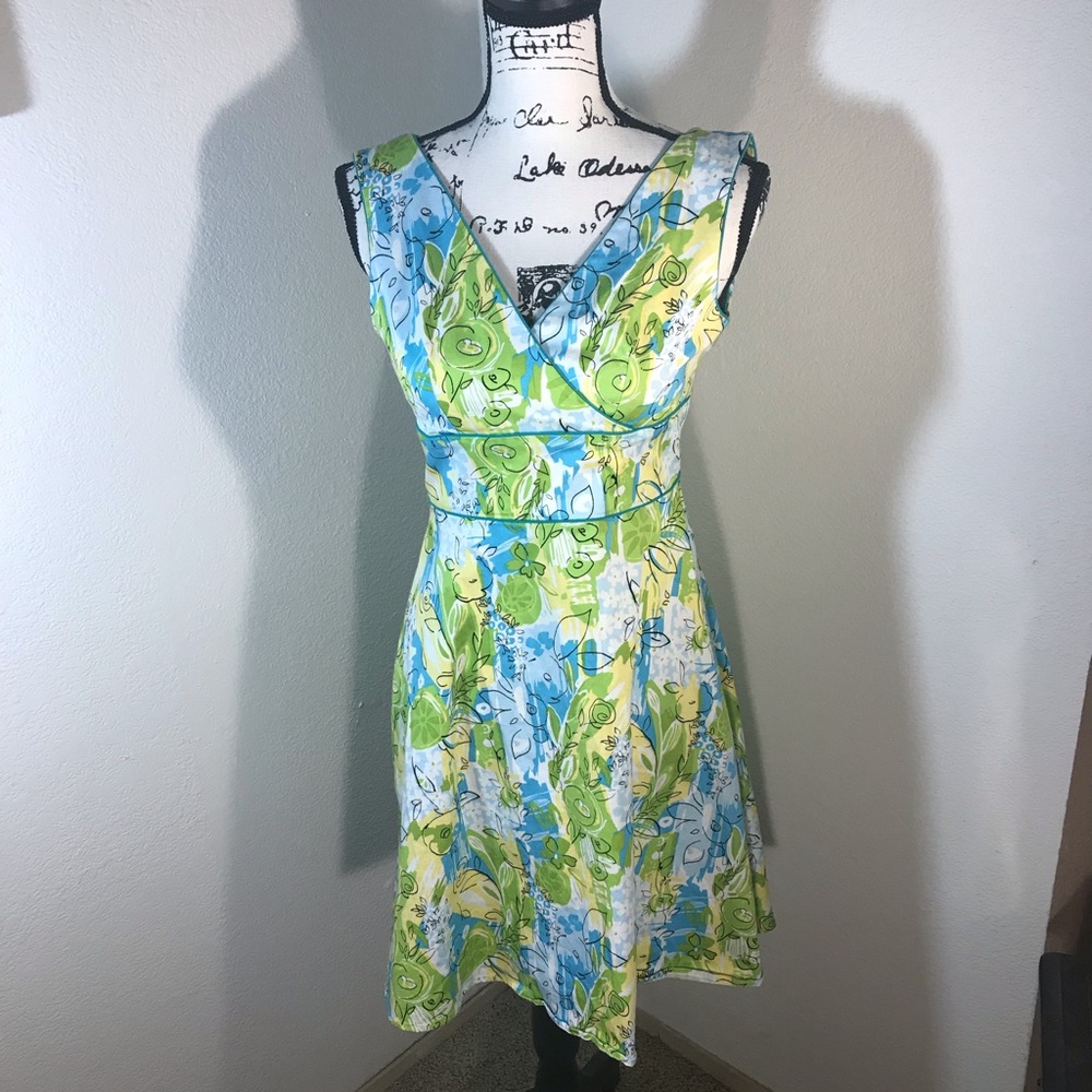 Amanda Smith Tea Dress Floral Petite Size 2P